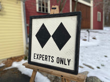 Load image into Gallery viewer, Experts Only Ski Sign