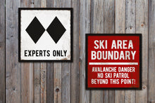 Load image into Gallery viewer, Experts Only Ski Sign